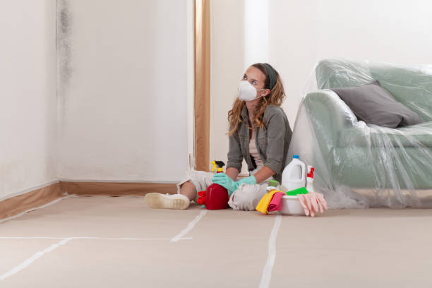 Reliable Mold Inspection contractor in Severance, CO by WQB Mold Removal