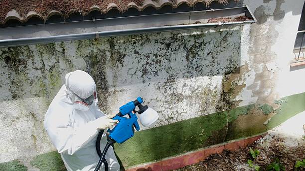 Top rated local Mold Inspection specialists in Severance, CO